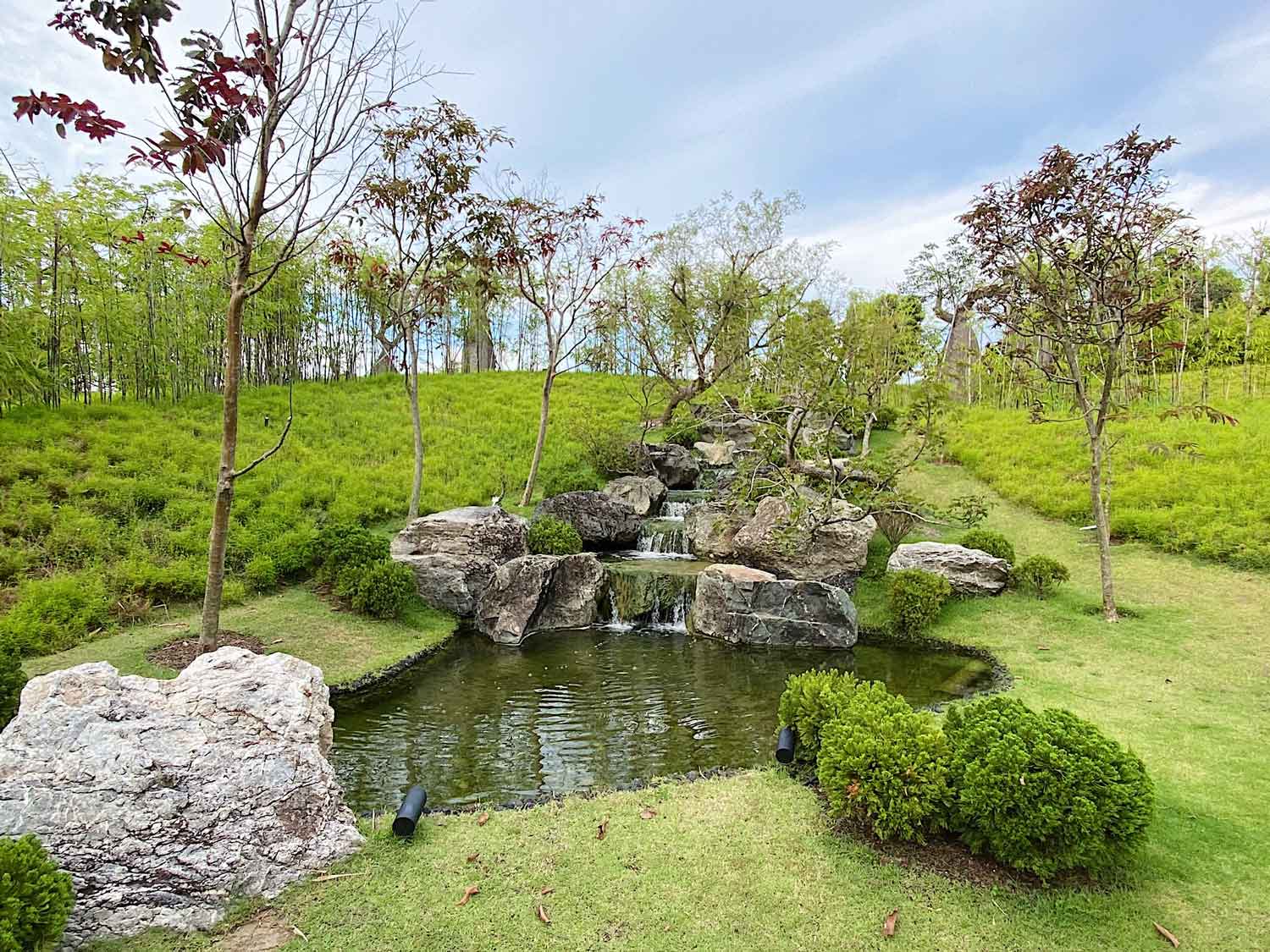 Outdoor parks near me